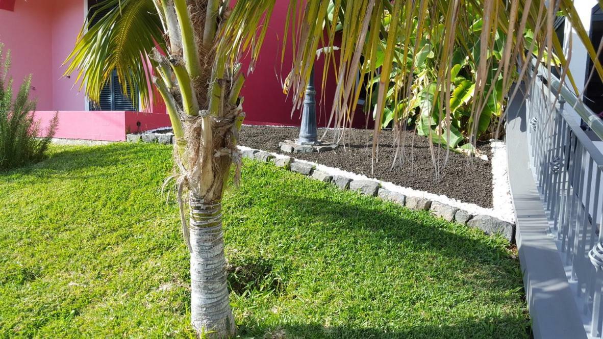 Pink House Apartment Ponta do Sol  Exterior foto